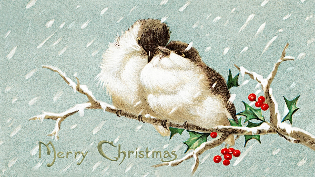 Vintage Merry Christmas Birds - Christmas Bird Artist Vintage Christmas Art