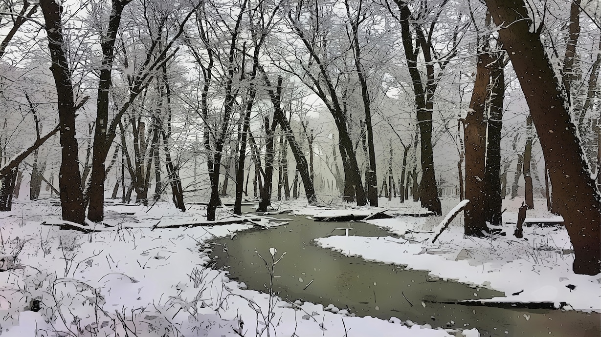 Forest River in Snow - River Snow Artist Winter Art