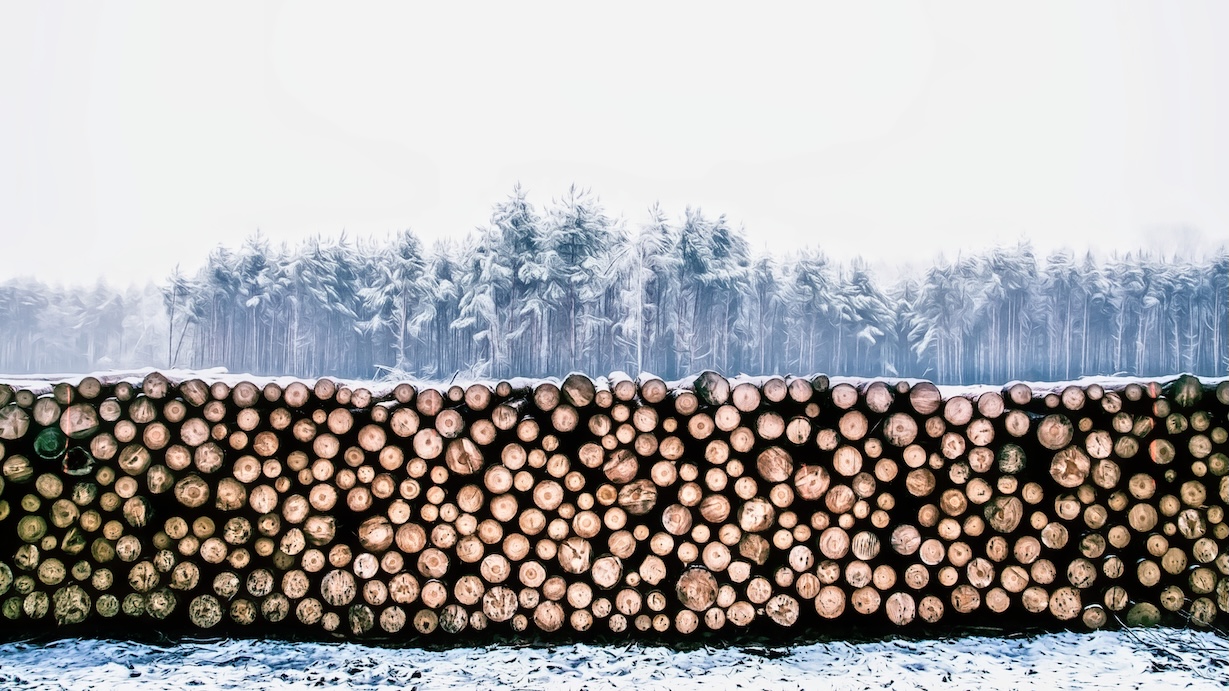 Logs in Snow - Snow Scene Artist Winter Art