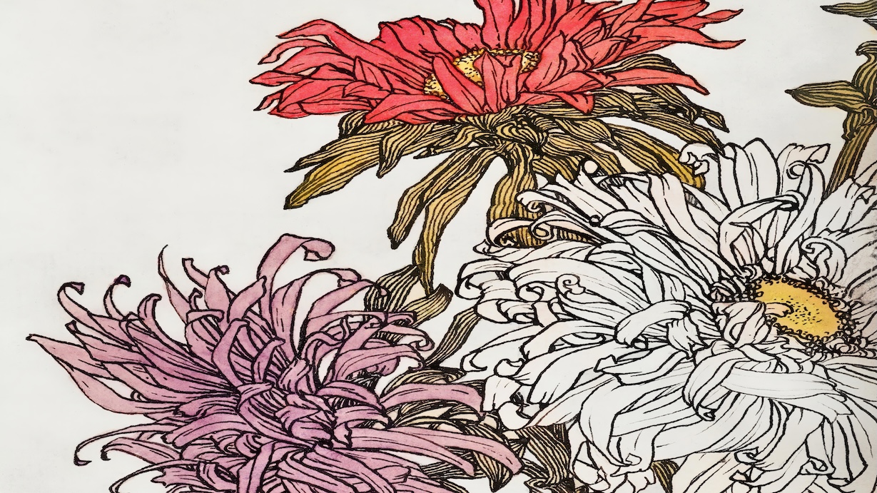 Art Nouveau Flowers - Art Nouveau Style Wall Art