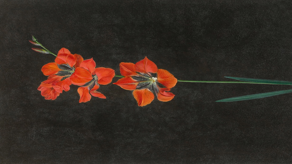 Red Flowers - Contemporary Style Wall Art