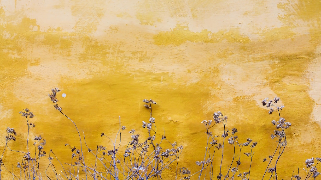 Yellow Wall with Flowers - Contemporary Style Wall Art