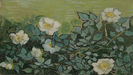 Wild Roses - Vincent van Gogh