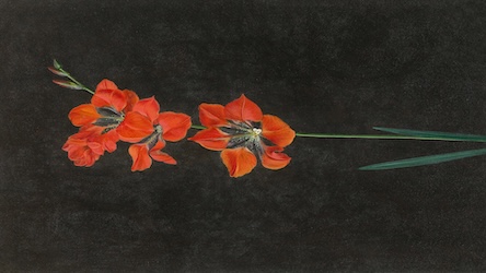 Red Flowers - Contemporary Style