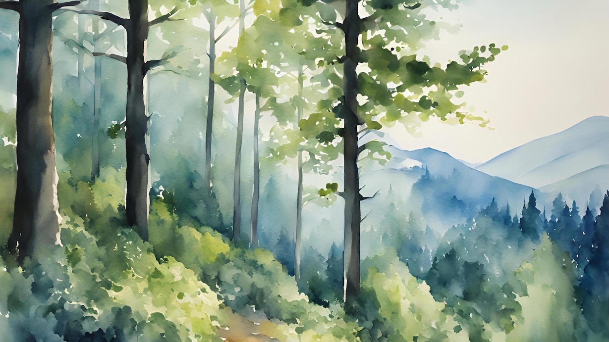 Pine Forest Sanctuary - Peaceful Evergreen Haven Wall Art