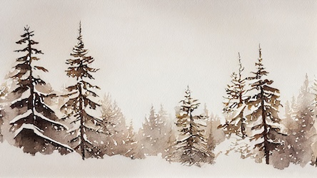 Woodland Tree Study