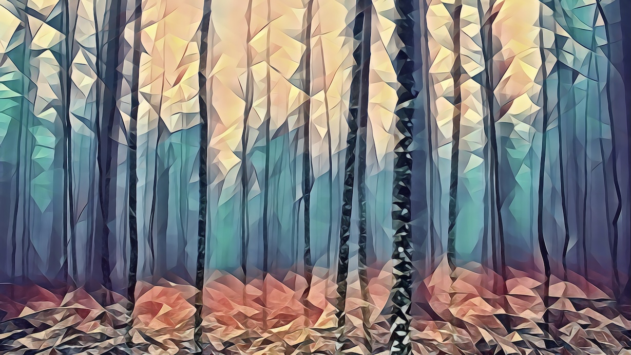 Fog in Forest - Atmospheric Artist Wall Art