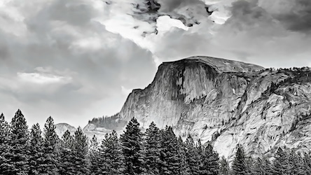 Yosemite Landscape