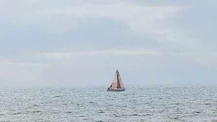 Sail Boat Horizon