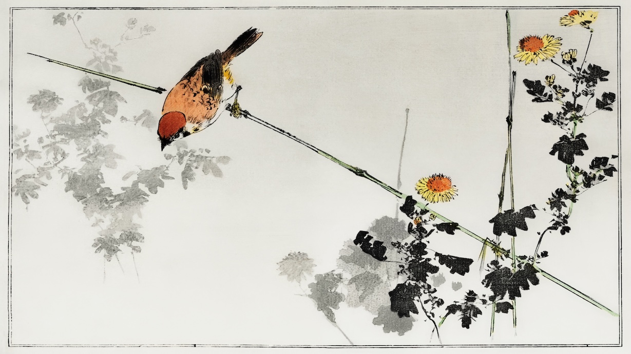 Japanese Swallow Bird Illustration by Traditional Japanese Artist - Best Seller Art