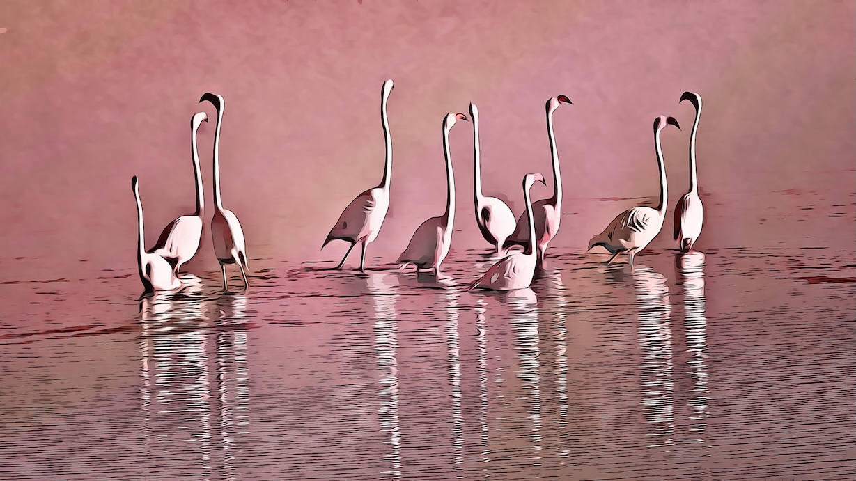 Flamingos by Wildlife Artist - Best Seller Art