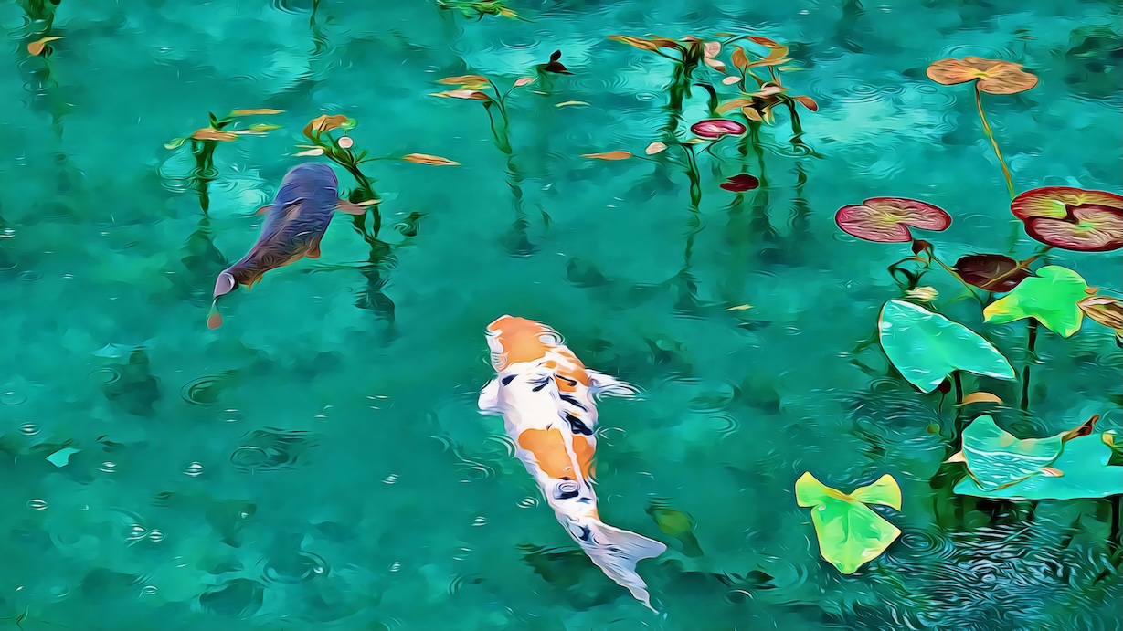 Koi in Pond by Traditional Japanese Artist - Best Seller Art