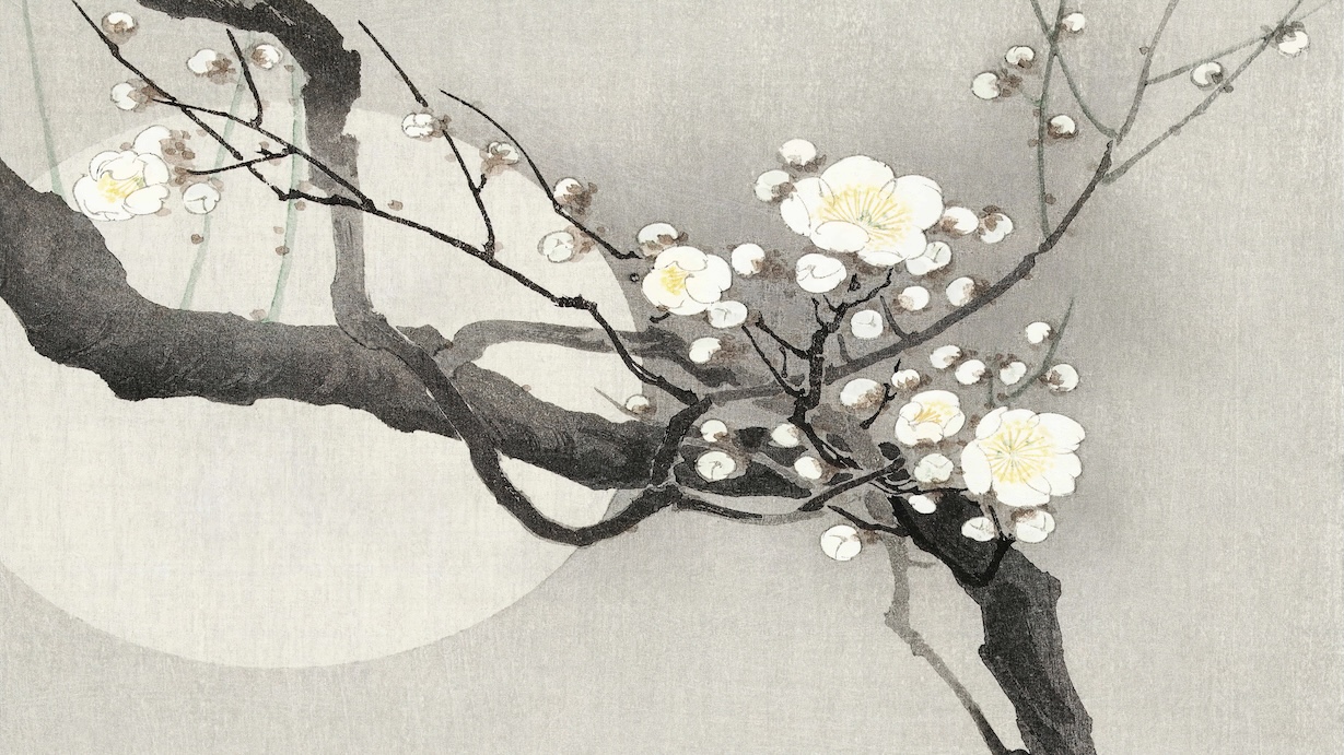 Plum Blossom and Moon by Traditional Japanese Artist - Best Seller Art