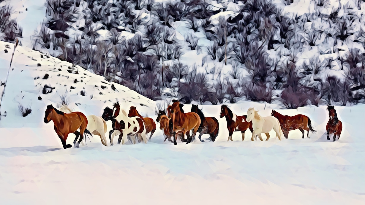 Wild Horses in Snow by Wildlife Artist - Best Seller Art