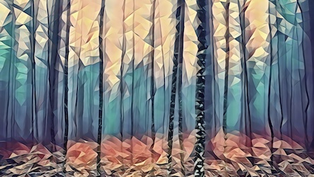 Fog in Forest by Nature Artist - Best Seller Art