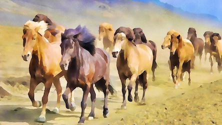 Horses Galop by Wildlife Artist - Best Seller Art