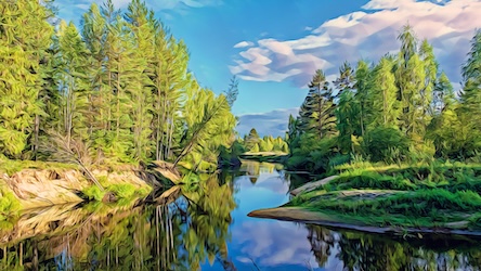 River Through Forest by Nature Artist - Best Seller Art
