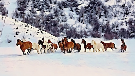 Wild Horses in Snow by Wildlife Artist - Best Seller Art