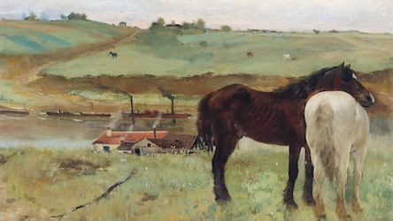 Horses in the Field