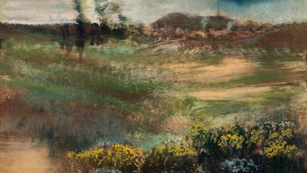 Landscape Study