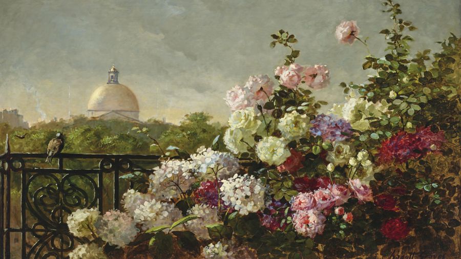 From the Terrace