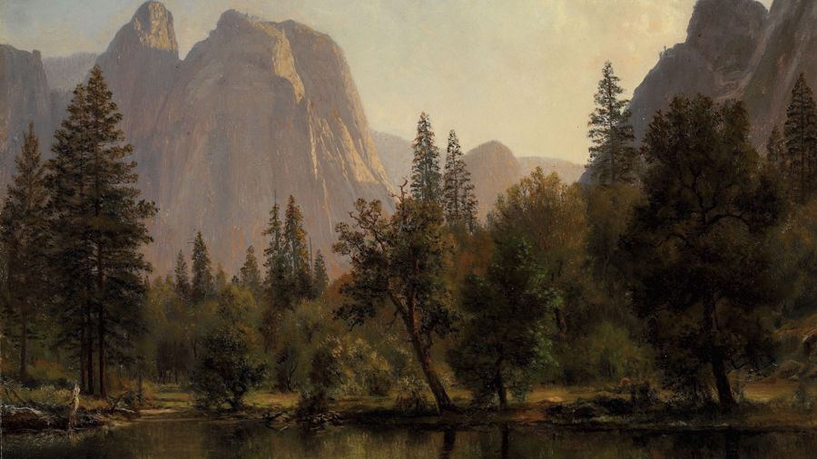 Cathedral Rocks Yosemite Valley