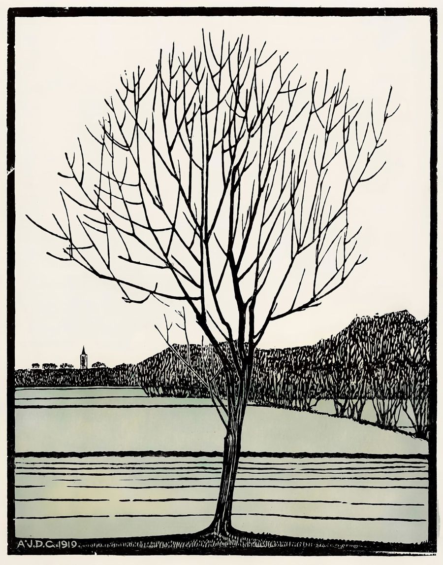 Bald Tree Nouveau Julie De