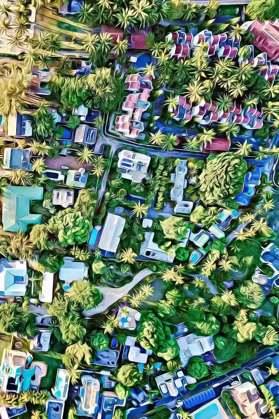 , Beach Top Aerial View 2