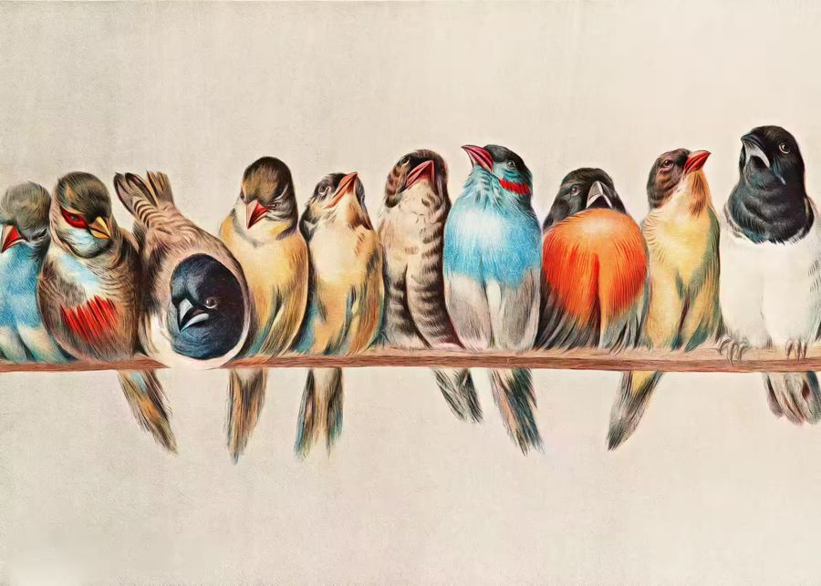 , Birds Perched Branch Bird Birds