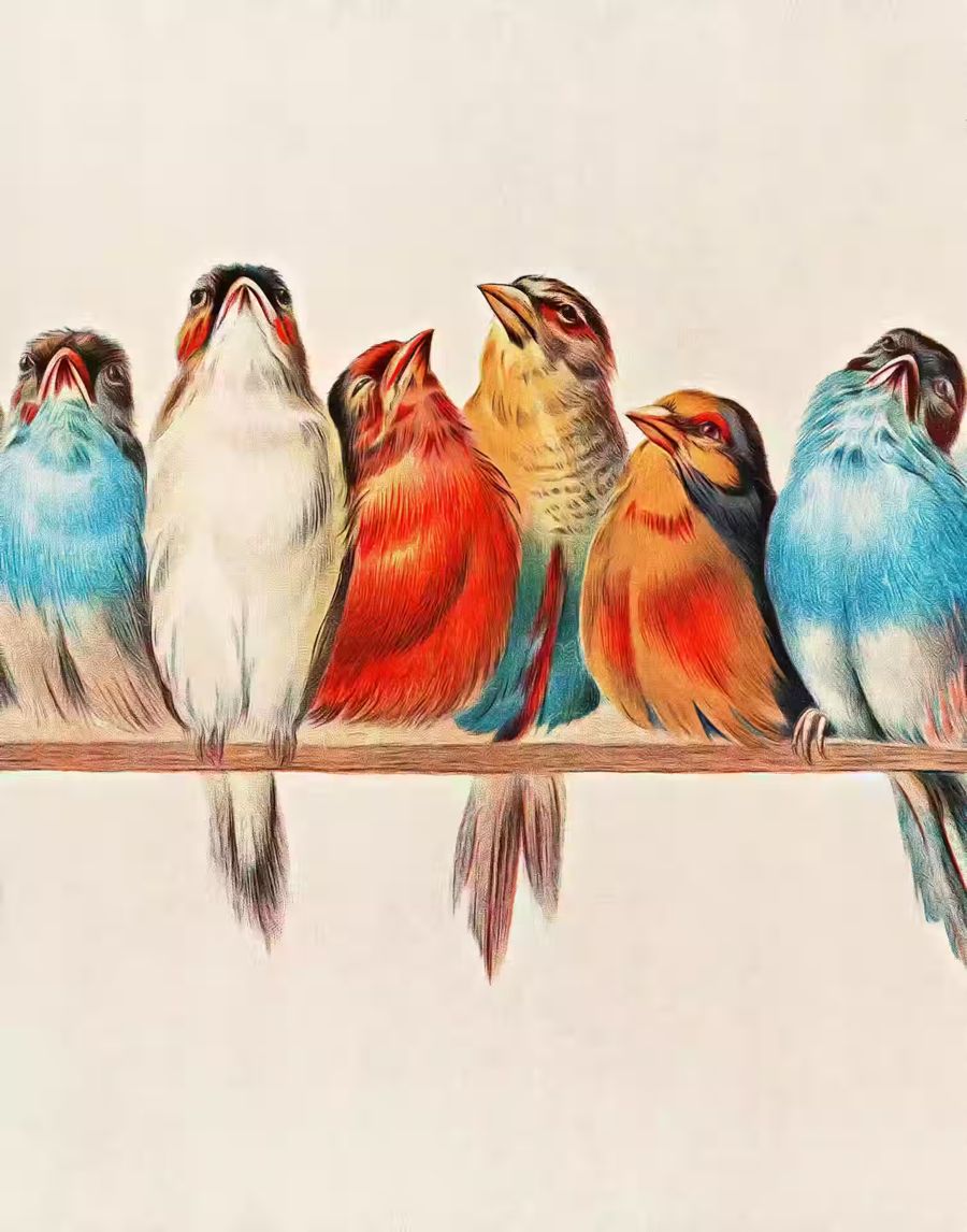 , Birds Perched Branch Bird Vertical