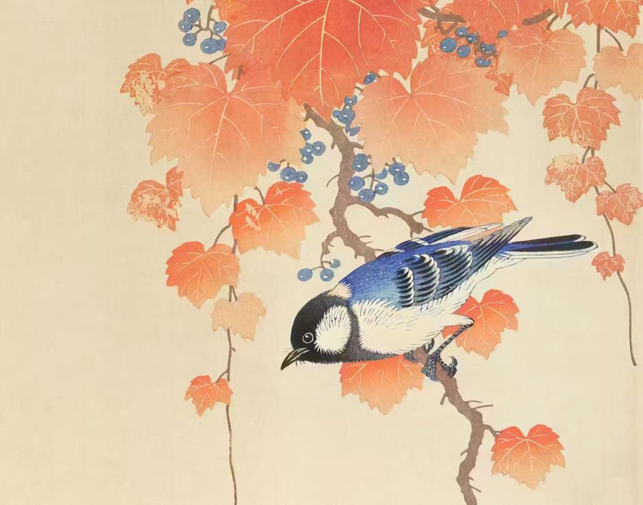 , Blue Bird Branch Japanese