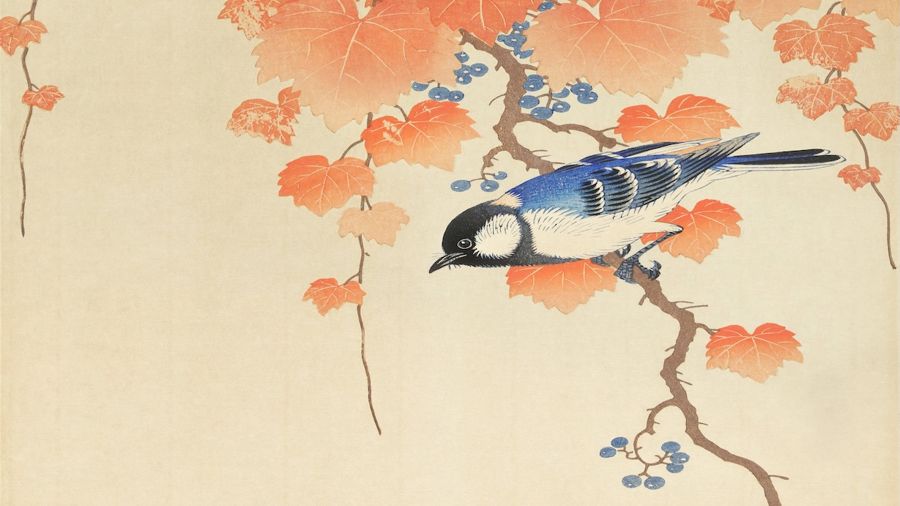 , Blue Bird on Branch