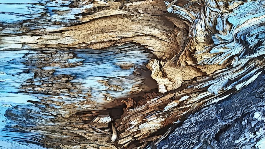 EcoArtLab Originals, Blue Tree Bark Abstract