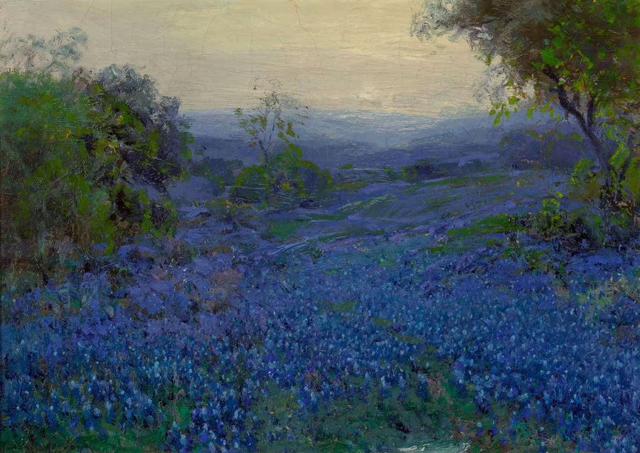 , Bluebonnets Spring Meadow
