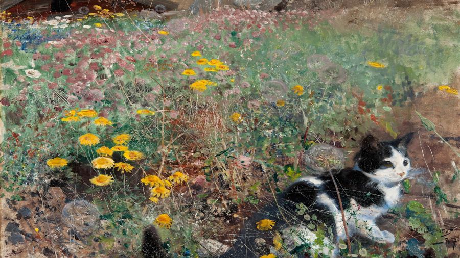 Cat on a Flowery Meadow
