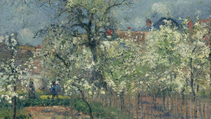 The Garden Of Maubuisson Pontoise Pear Trees In Bloom