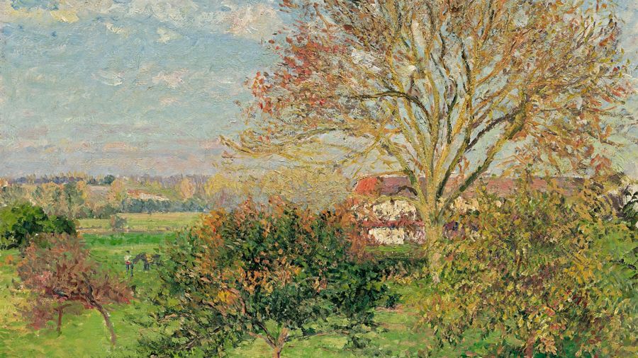 The Large Walnut Tree Autumn Morning Eragny