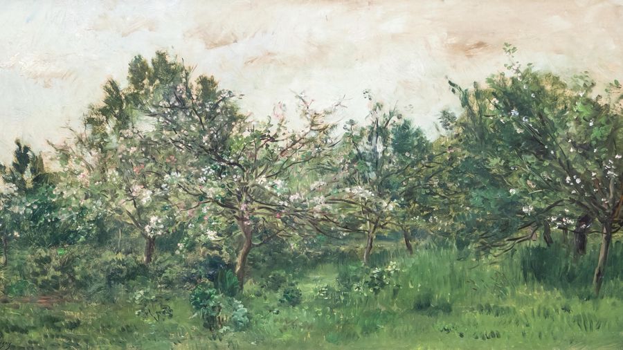 Meadow With Blossoming Fruit Tree