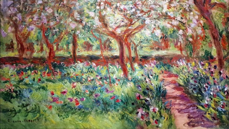 Apple Trees In Bloom