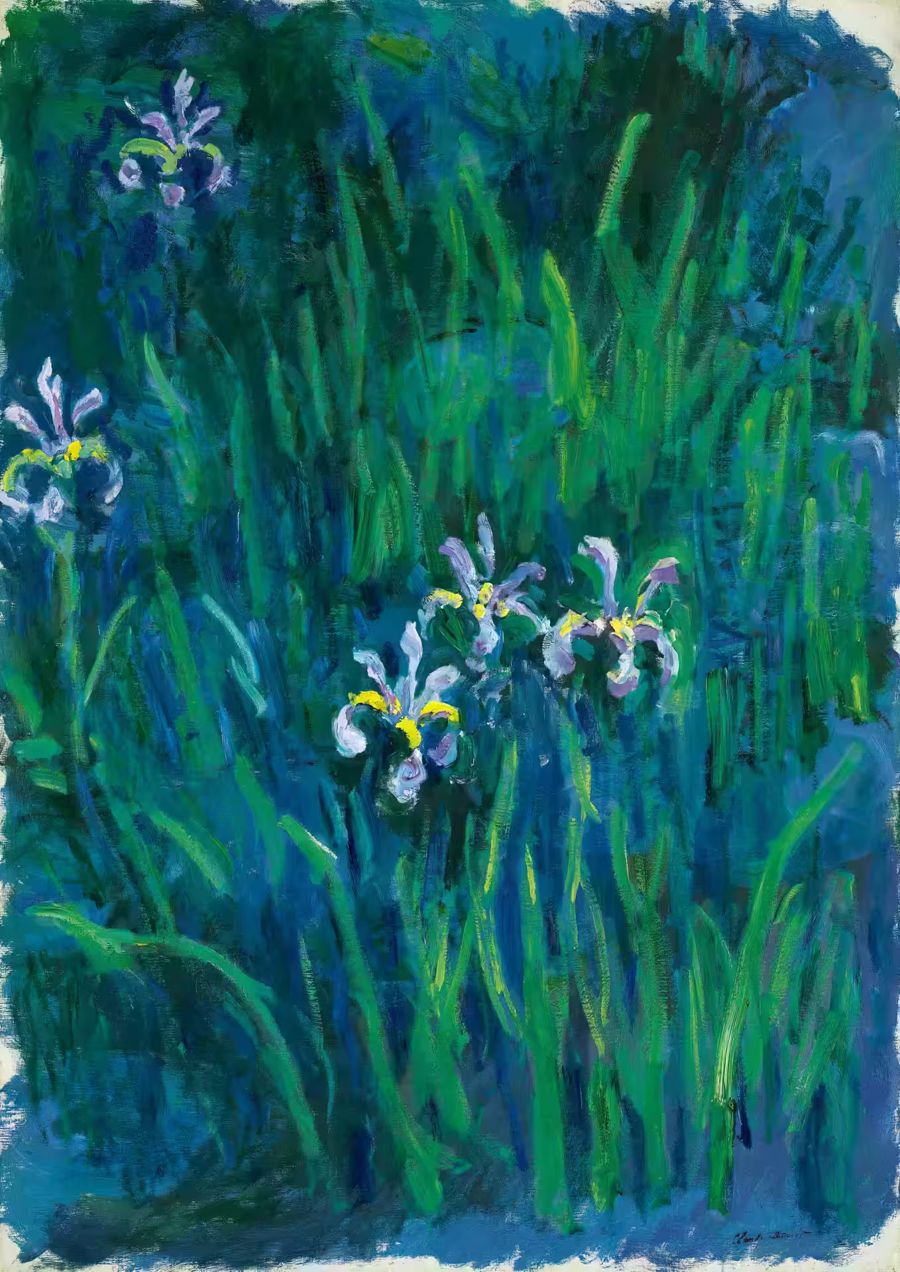 Claude Monet, Claude Monet Irises Botanical