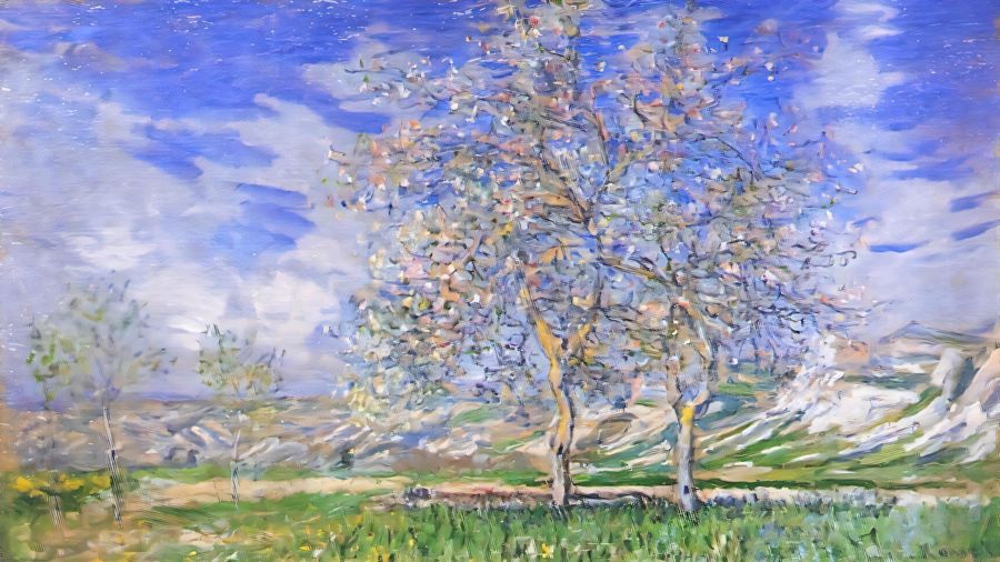 Pear Trees in Blossom