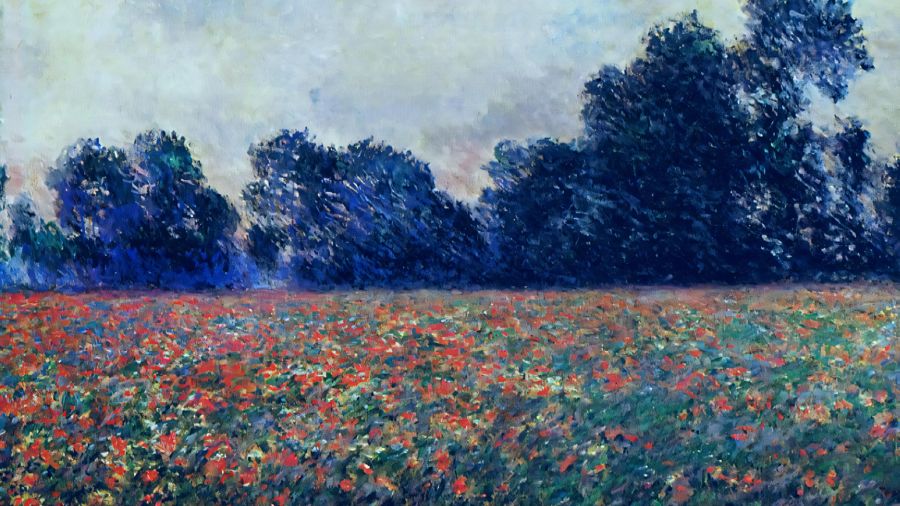 Poppies at Giverny