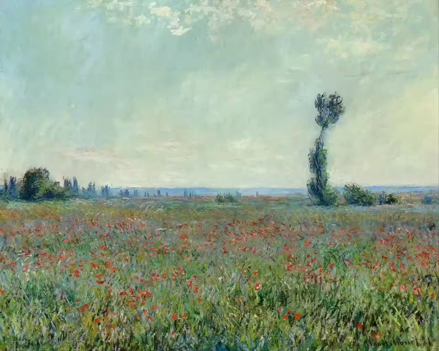 Claude Monet Poppy Field