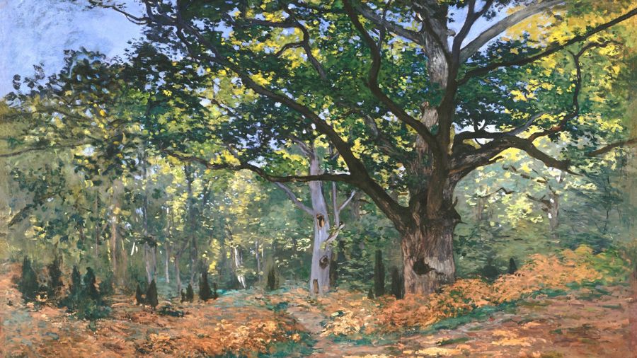 The Bodmer Oak Fontainebleau Forest