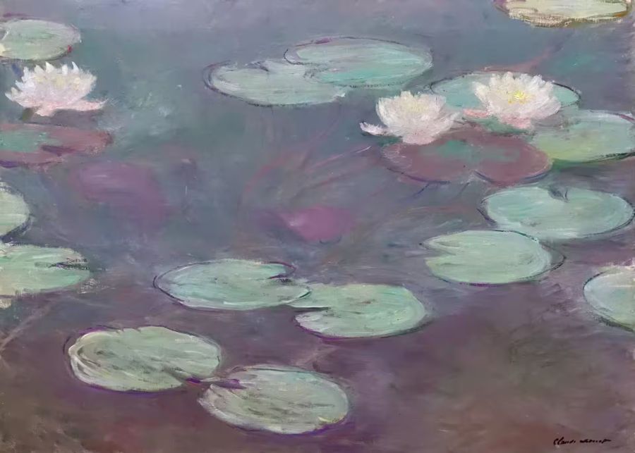 Claude Monet, Claude Monet Water Lilies