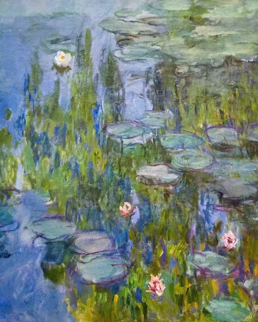 Claude Monet, Claude Monet Water Lilies