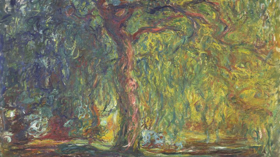 Weeping Willow