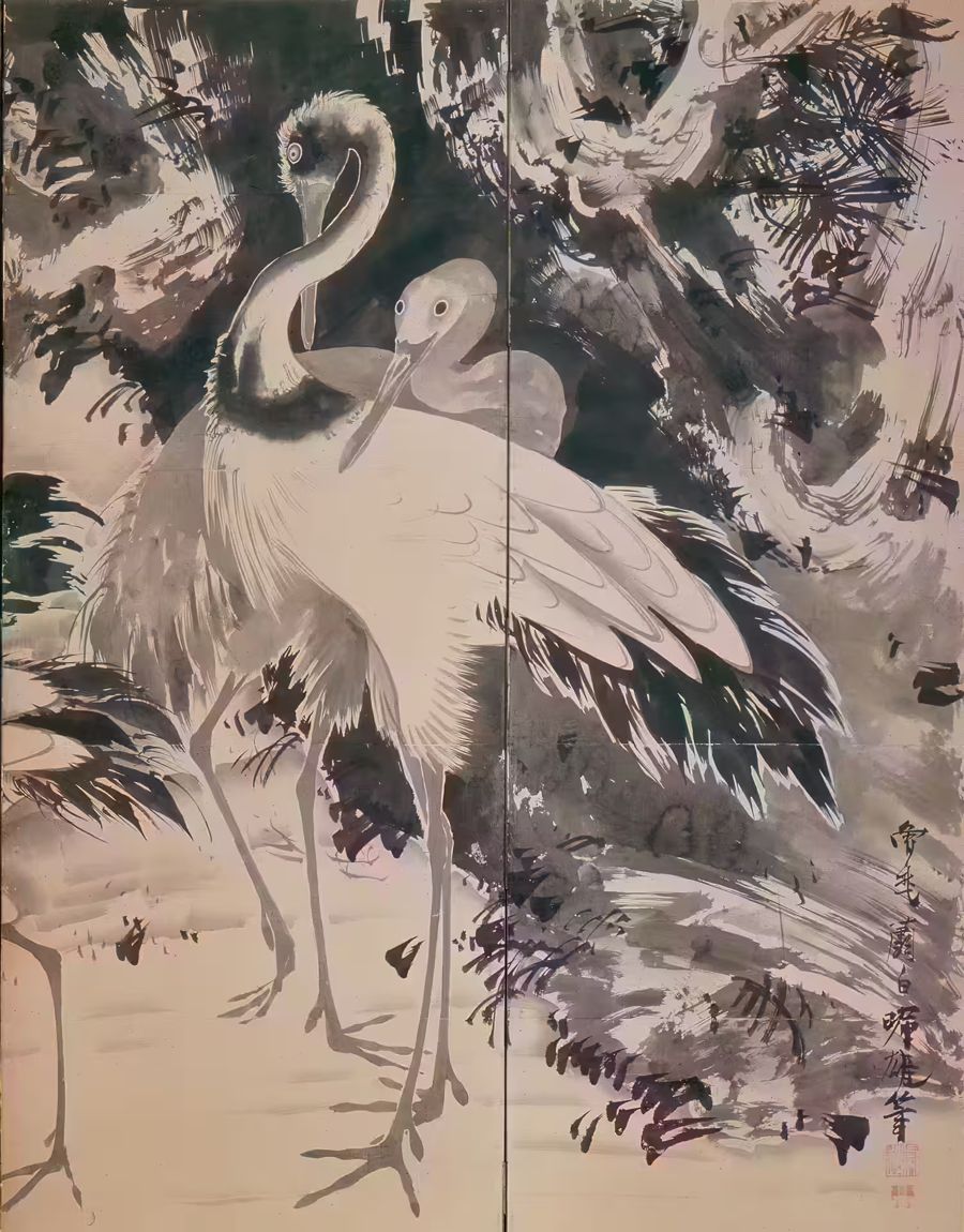 , Cranes Tropical Birds 3 Wildlife