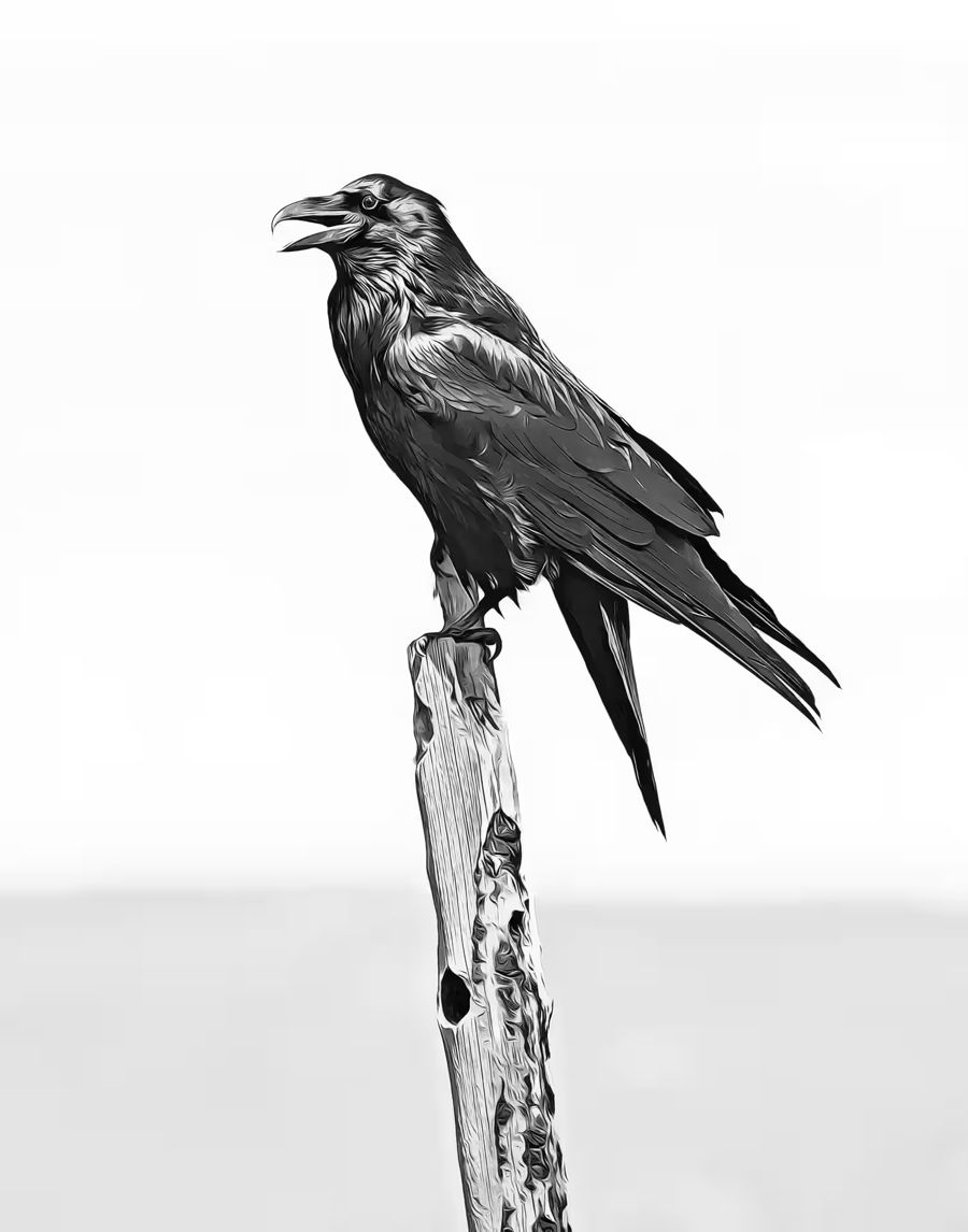 Crow Branch Raven Decor
