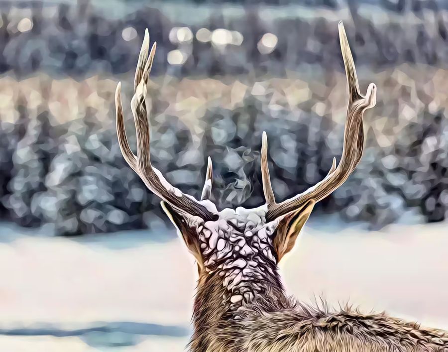 , Deer Antlers Snowy Winter Scene